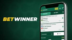 How to Easily Navigate the BetWinner Sign In Process